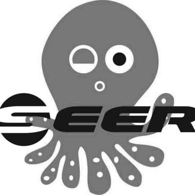 Trademark Logo SEER