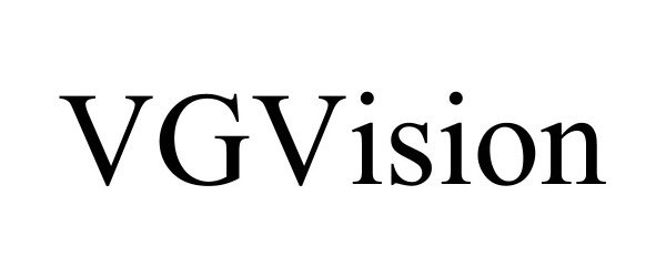  VGVISION