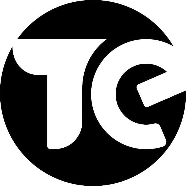 Trademark Logo TE