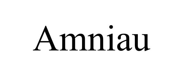  AMNIAU