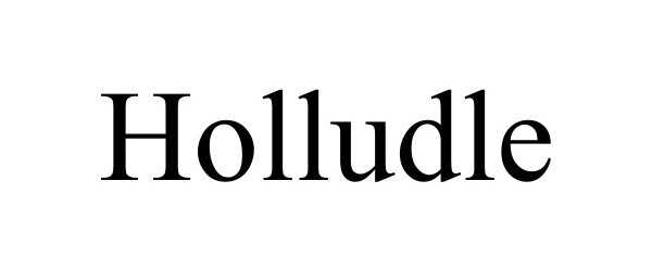  HOLLUDLE