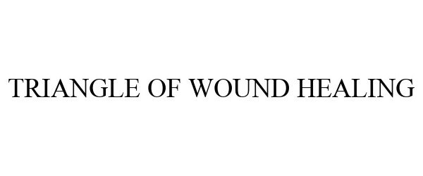 Trademark Logo TRIANGLE OF WOUND HEALING