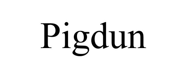  PIGDUN