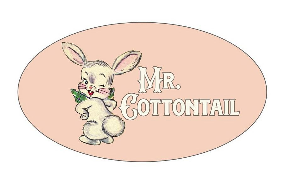  MR. COTTONTAIL