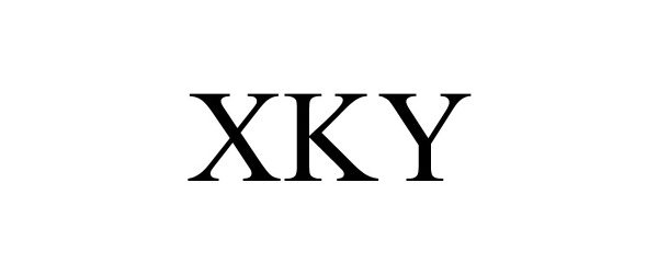 Trademark Logo XKY