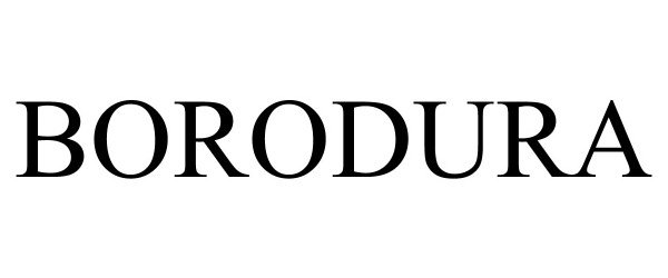 Trademark Logo BORODURA