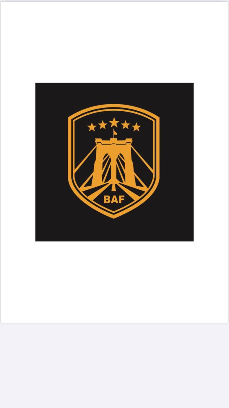 Trademark Logo BAF