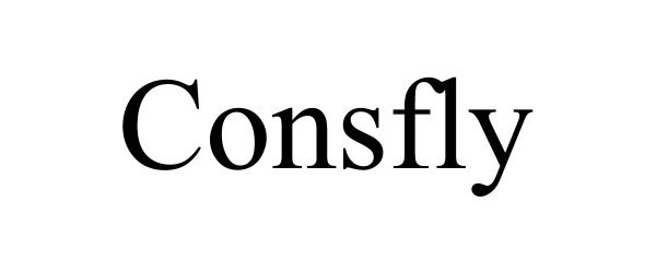  CONSFLY