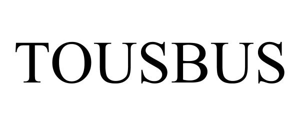  TOUSBUS