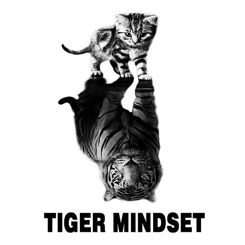  TIGER MINDSET