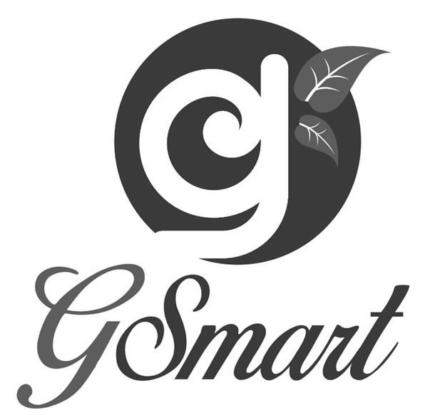  G GSMART