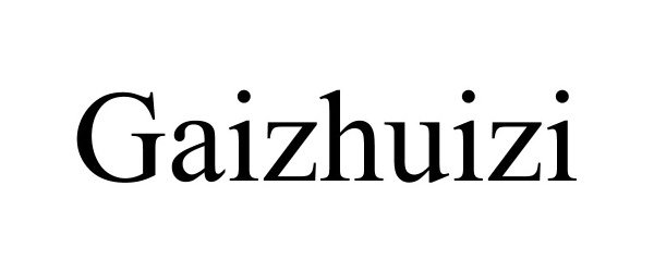  GAIZHUIZI