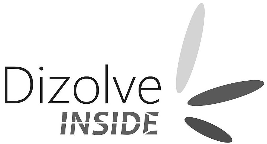  DIZOLVE INSIDE