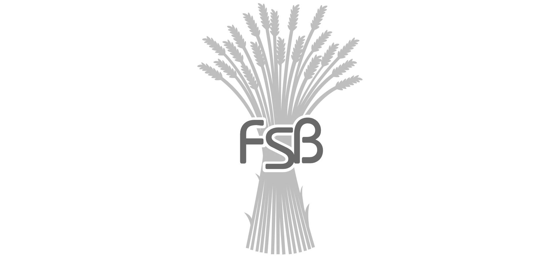 Trademark Logo FSB