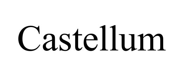 Trademark Logo CASTELLUM