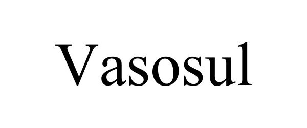 Trademark Logo VASOSUL