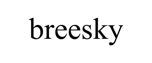 Trademark Logo BREESKY