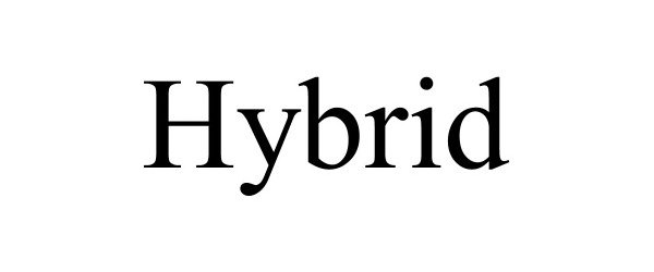 Trademark Logo HYBRID