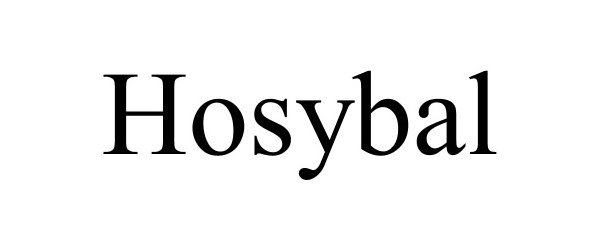  HOSYBAL