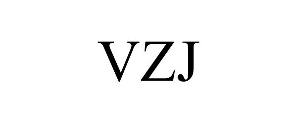  VZJ