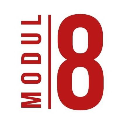 Trademark Logo MODUL8