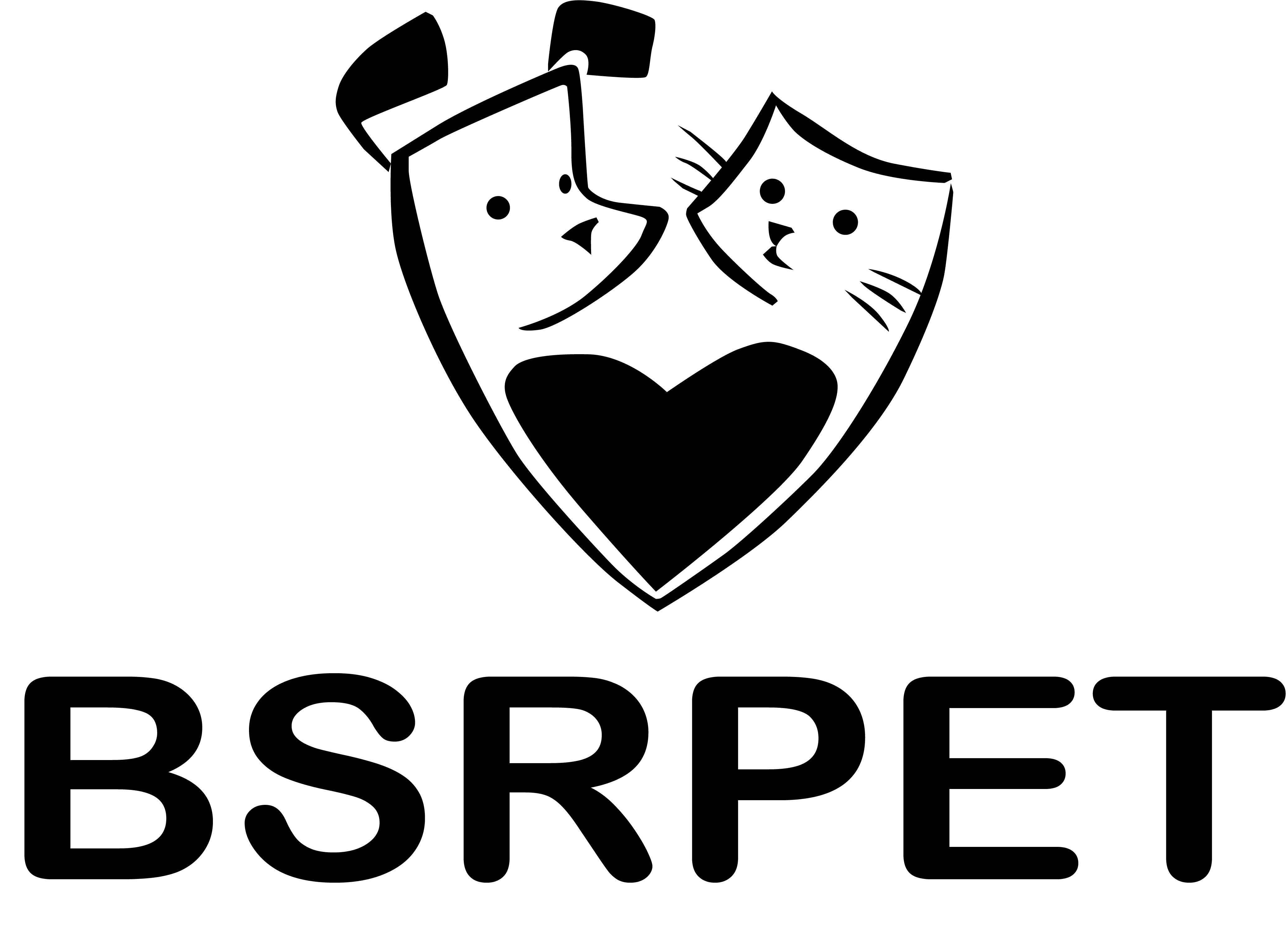 Trademark Logo BSRPET