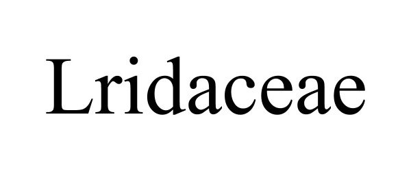  LRIDACEAE