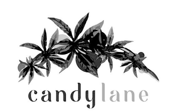 CANDY LANE