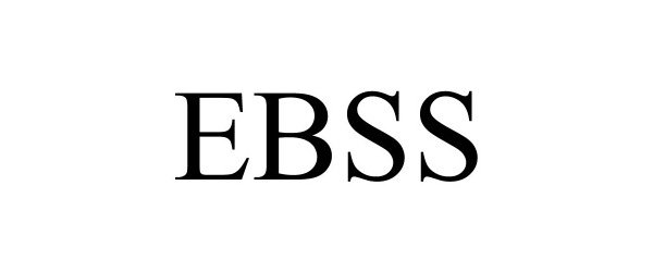  EBSS