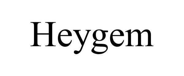  HEYGEM