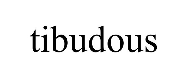 Trademark Logo TIBUDOUS