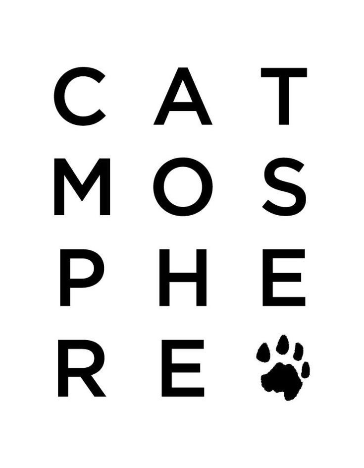  CATMOSPHERE