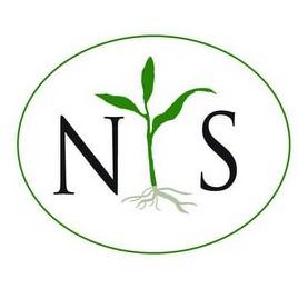 Trademark Logo N S