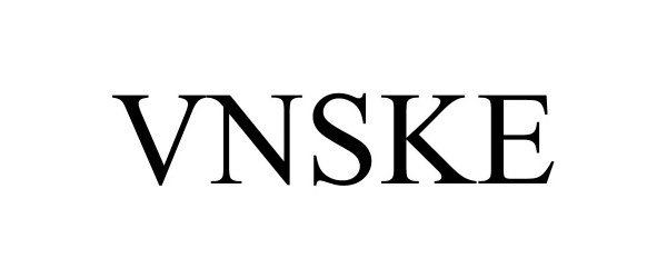 Trademark Logo VNSKE