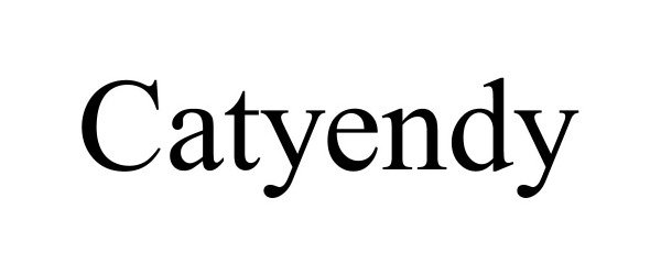 Trademark Logo CATYENDY