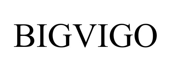 Trademark Logo BIGVIGO