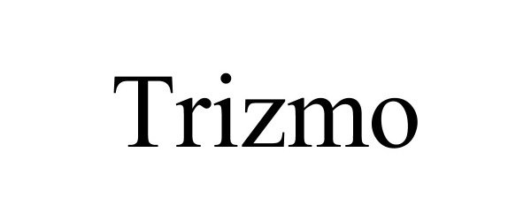 Trademark Logo TRIZMO