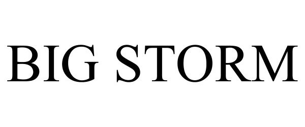 Trademark Logo BIG STORM