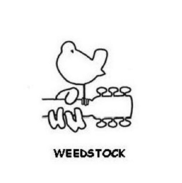  WEEDSTOCK