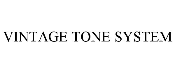  VINTAGE TONE SYSTEM