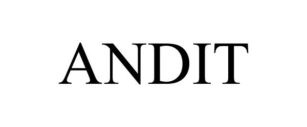 Trademark Logo ANDIT