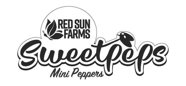  RED SUN FARMS SWEETPEPS MINI PEPPERS