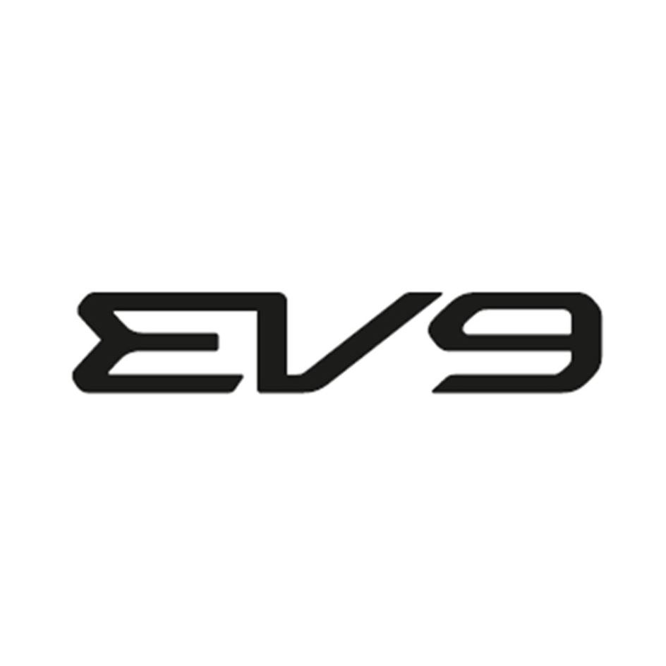  EV9