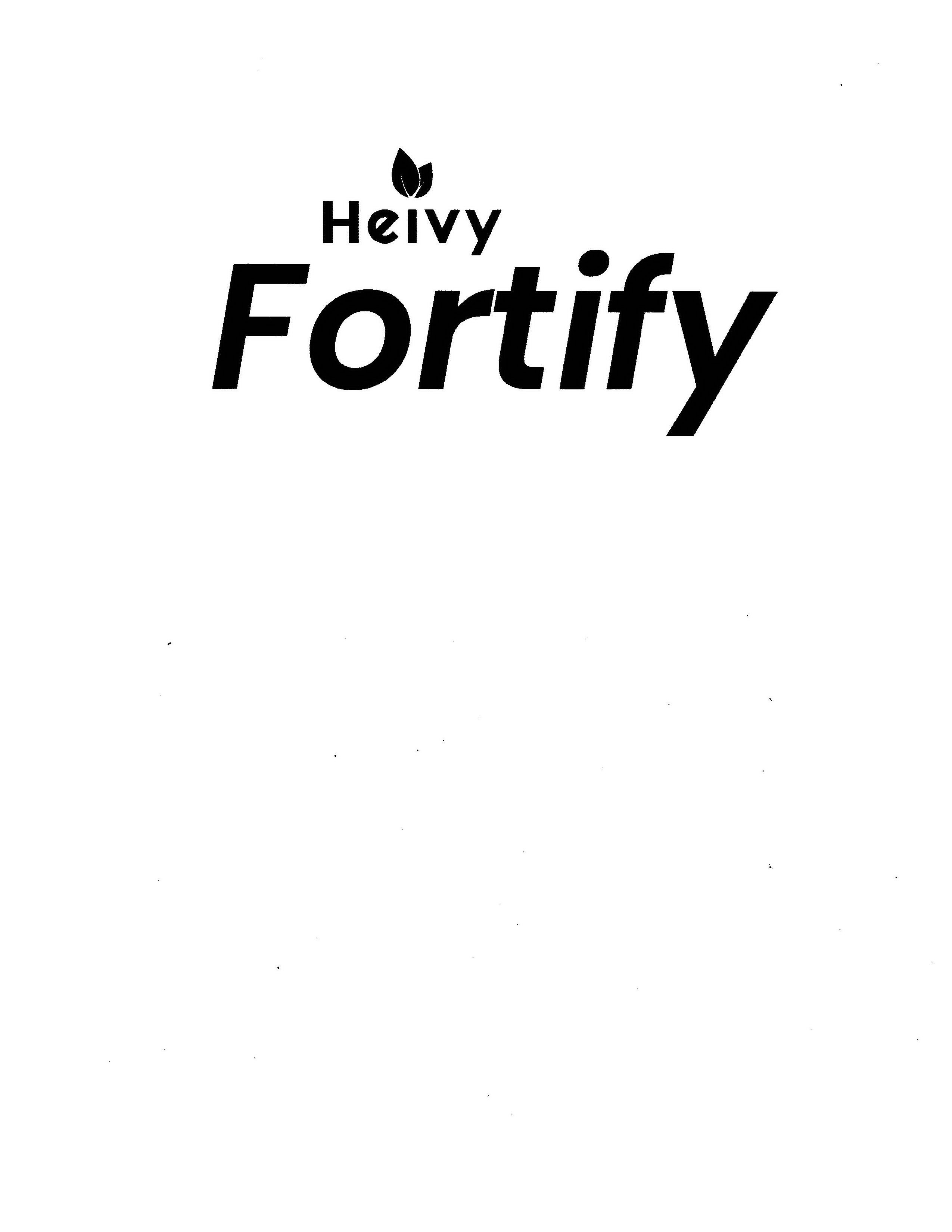  HEIVY FORTIFY