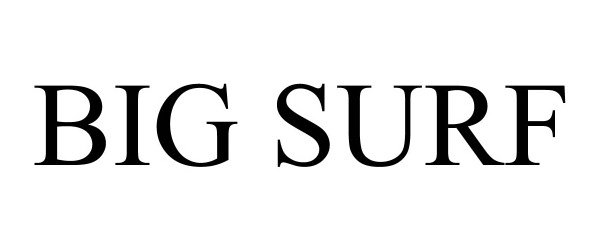 Trademark Logo BIG SURF