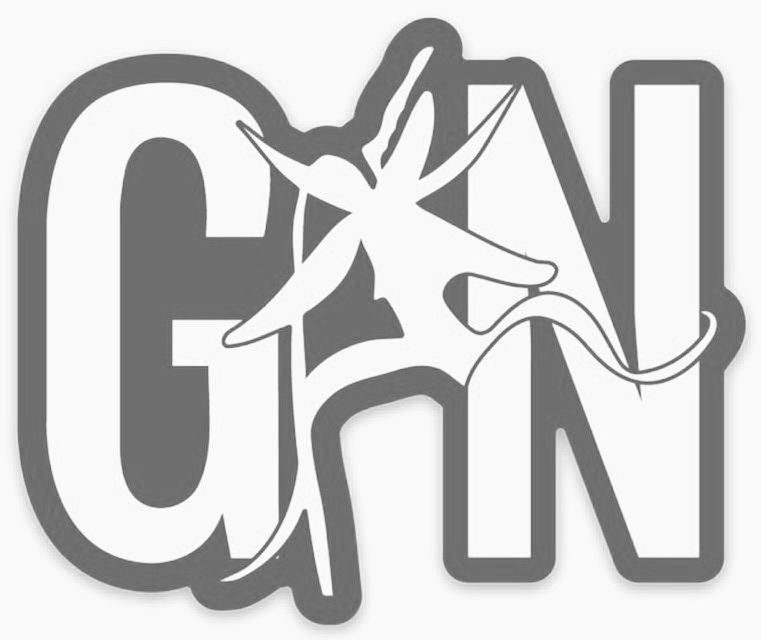 Trademark Logo GN