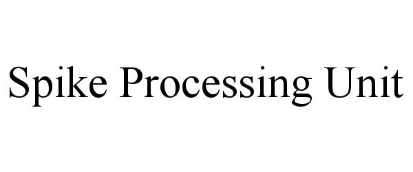  SPIKE PROCESSING UNIT