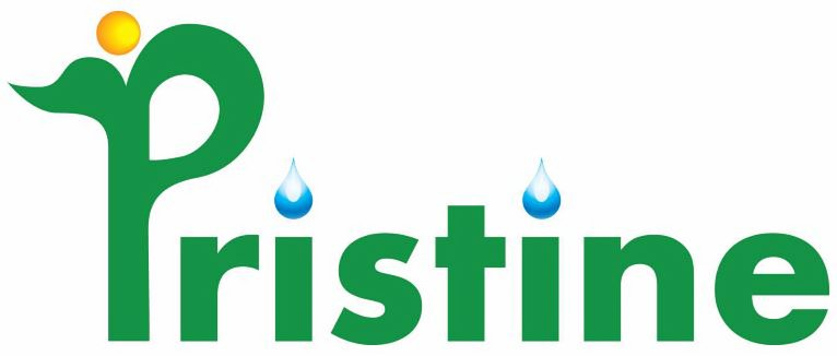 Trademark Logo PRISTINE