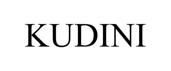  KUDINI