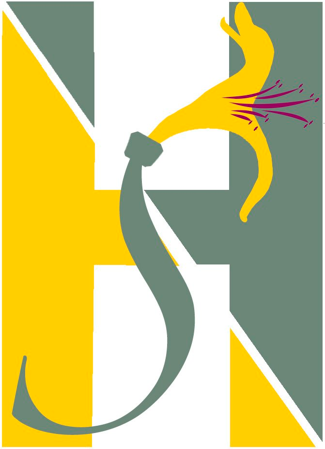 Trademark Logo HS
